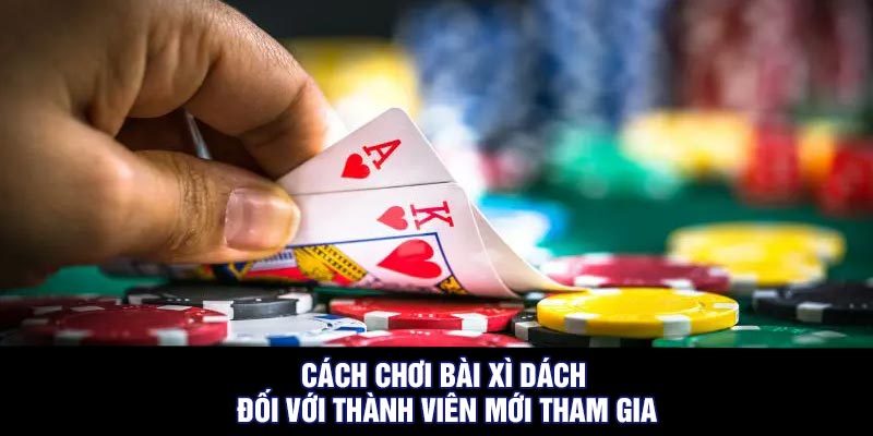 Cách chơi bài xì dách đối với thành viên mới tham gia